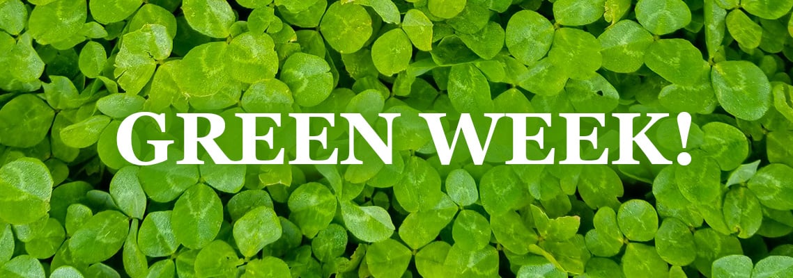 All Things Bright & Beautiful