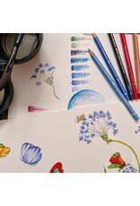 Colored Pencil Basics: Splash & Shade Friday April 24 11:00 - 1:00