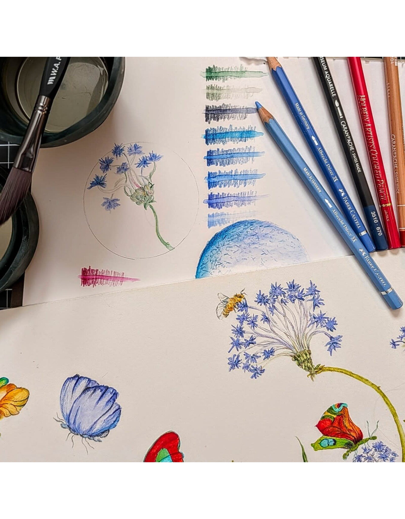 Colored Pencil Basics: Splash & Shade Friday April 24 11:00 - 1:00