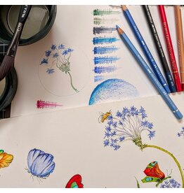 Colored Pencil Basics: Splash & Shade Friday April 24 11:00 - 1:00
