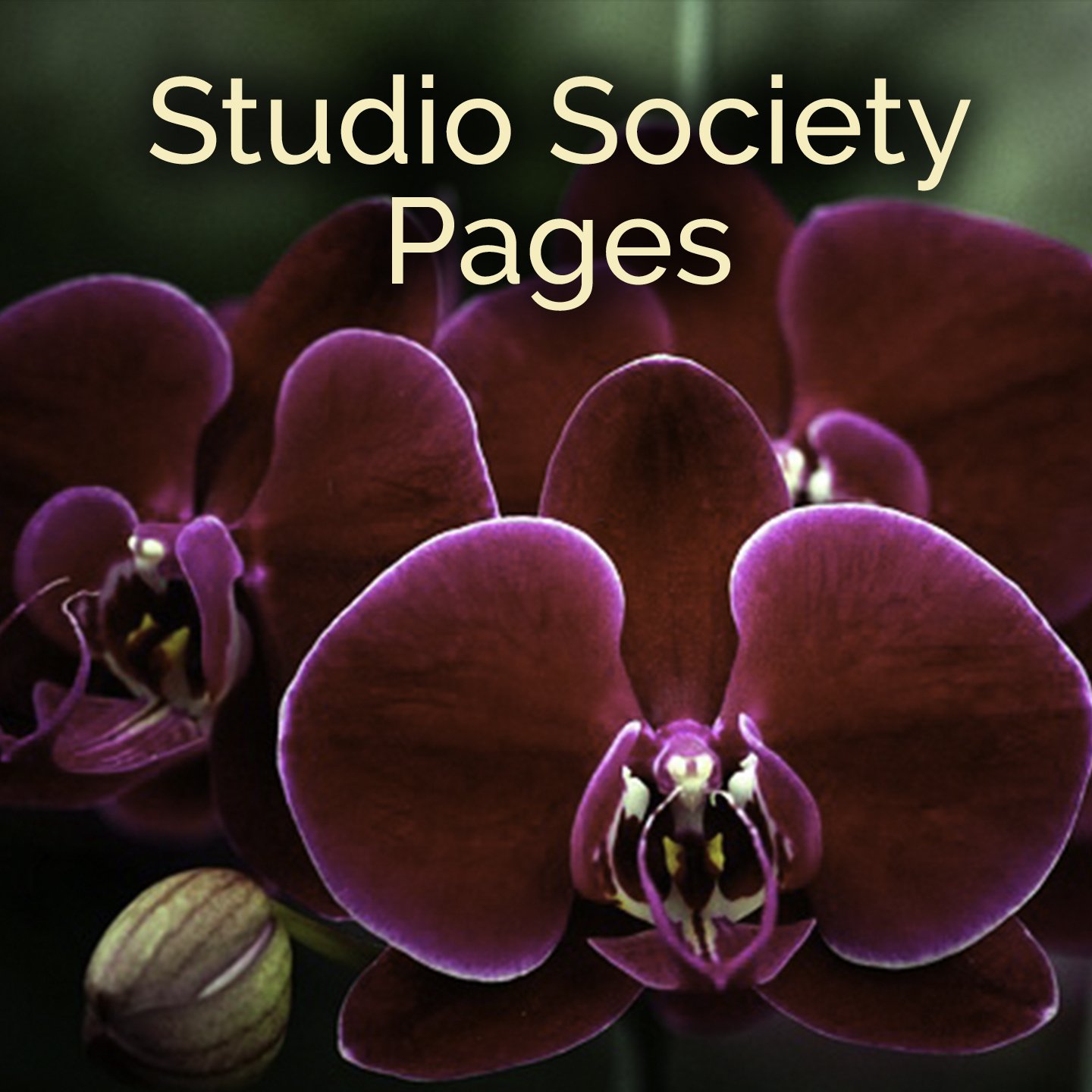 Groundbreaking Florals for Spring