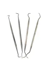Tool: Dental Pick: 4pc Assortment