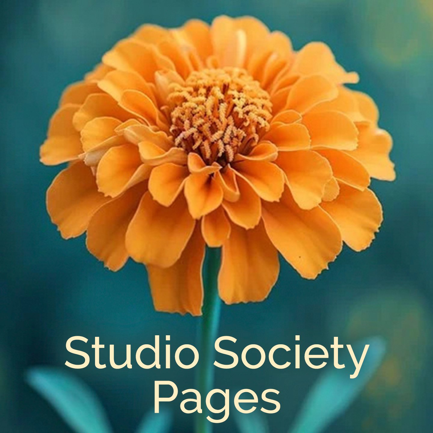 Artist of the Month: Noah Mayer