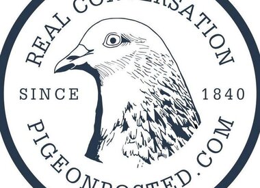 Pigeon