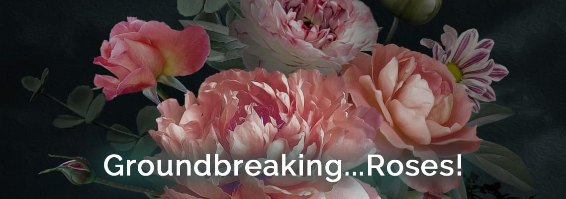 Spring Florals: Roses