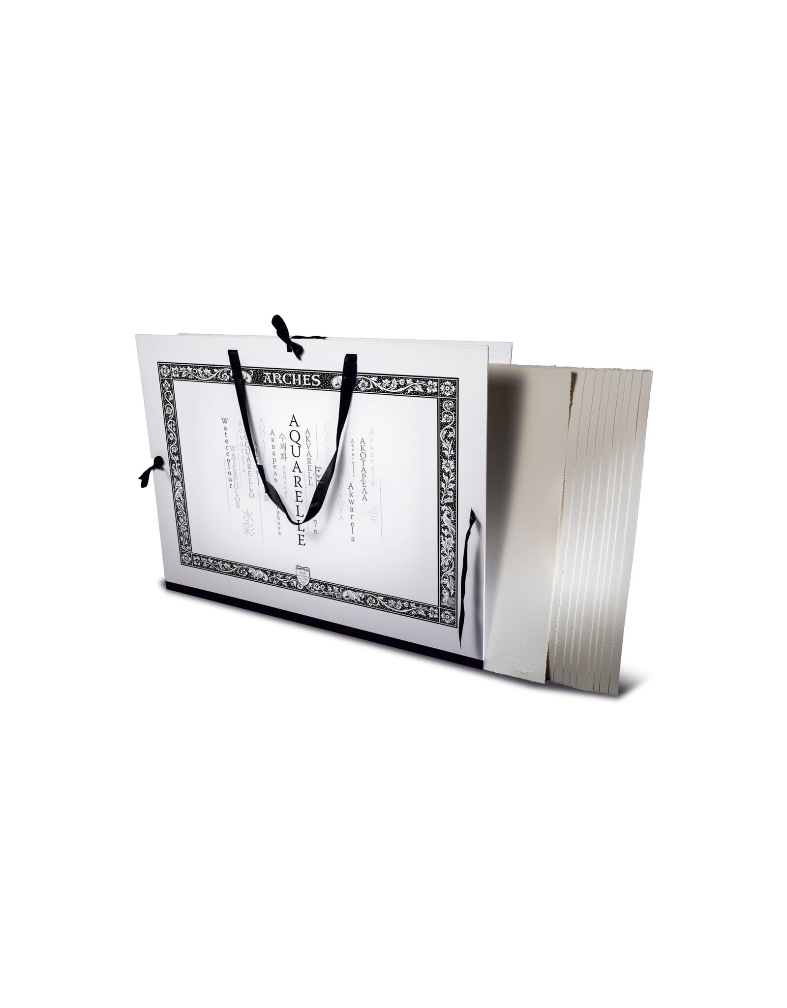 Arches Arches Watercolour Block Plus Portfolio Set, Cold Pressed, 16'' x 20'' 140lb