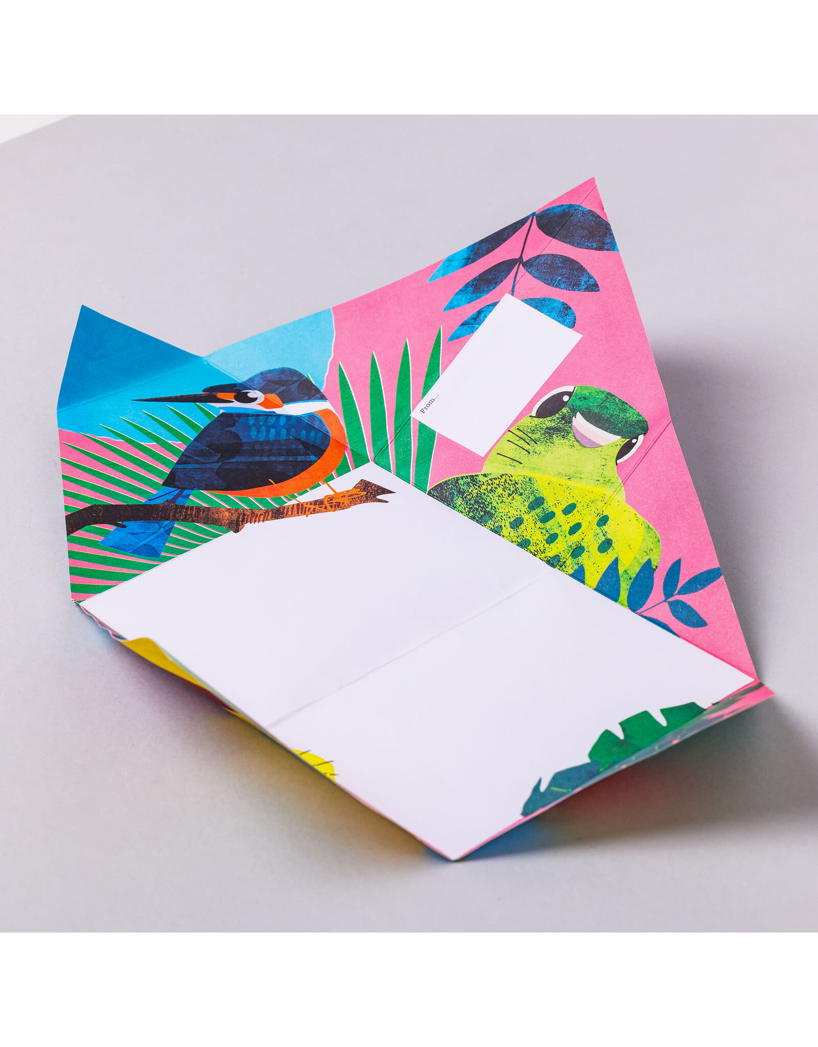 Pigeon Wild Lives Pigeon, Folding Letter Set - Pack of 6 Letters