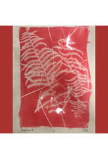 Botanical SolarFast Sun Printing Saturday July 18 11:00 - 1:00