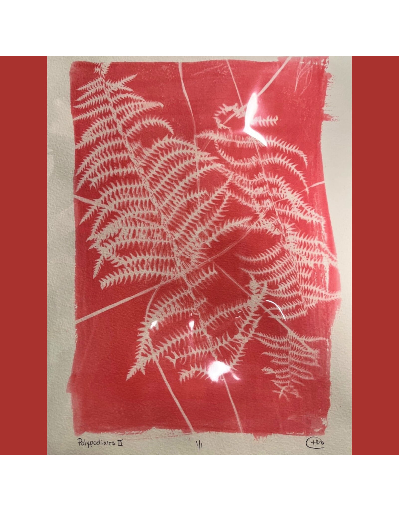 Botanical SolarFast Sun Printing Saturday July 18 11:00 - 1:00