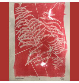 Botanical SolarFast Sun Printing Saturday July 18 11:00 - 1:00