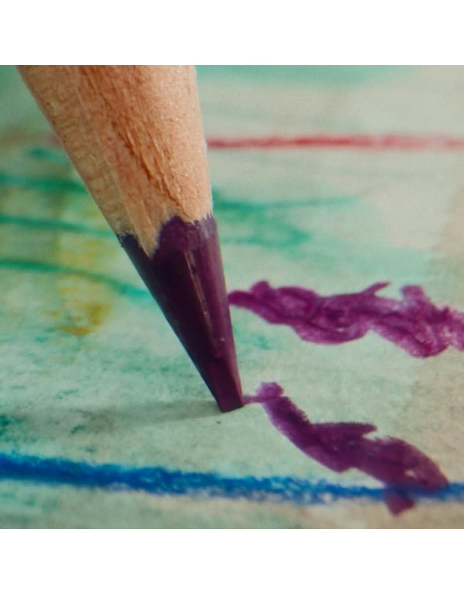 Colored Pencils: Blend, Burnish, & Bloom Saturday August 15 11:00 - 1:00