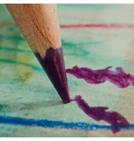 Colored Pencils: Blend, Burnish, & Bloom Saturday August 15 11:00 - 1:00