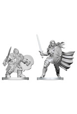 WIZKIDS D&D Nolzur's Marvelous Miniatures Dwarf Fighter & Orc Paladin
