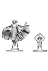WIZKIDS D&D: Nolzur's Marvelous Miniatures: Gnome Warlock & Aasimar Wizard