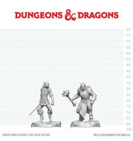 WIZKIDS D&D Nolzur's Marvelous Miniatures Dragonborn Paladin and Squire COMING SOON
