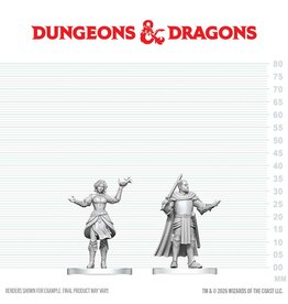 WIZKIDS D&D Nolzur's Marvelous Miniatures Knight and Mage Apprentice  COMING SOON