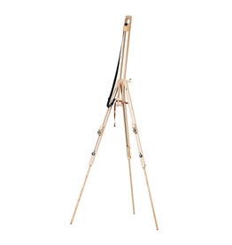 Daler-Rowney St Paul Field Easel