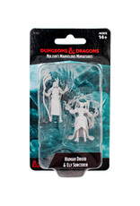 WIZKIDS D&D Nolzur's Marvelous Miniatures Human Druid & Elf Sorcerer