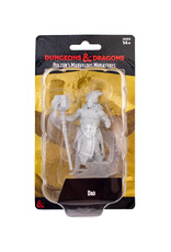 WIZKIDS D&D Nolzur's Marvelous Miniatures Dao