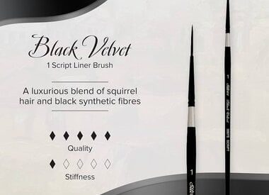 Silver Brush Black Velvet Round