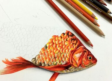 Prismacolor Premier