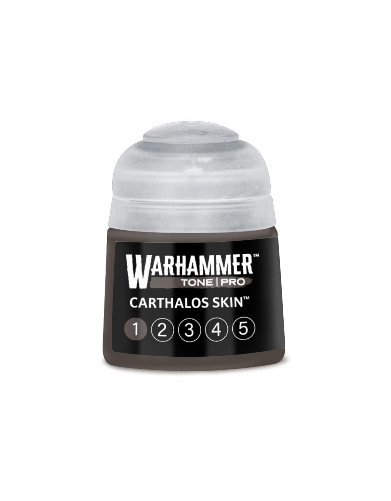 Games Workshop Warhammer Tone Pro Carthalos Skin 1