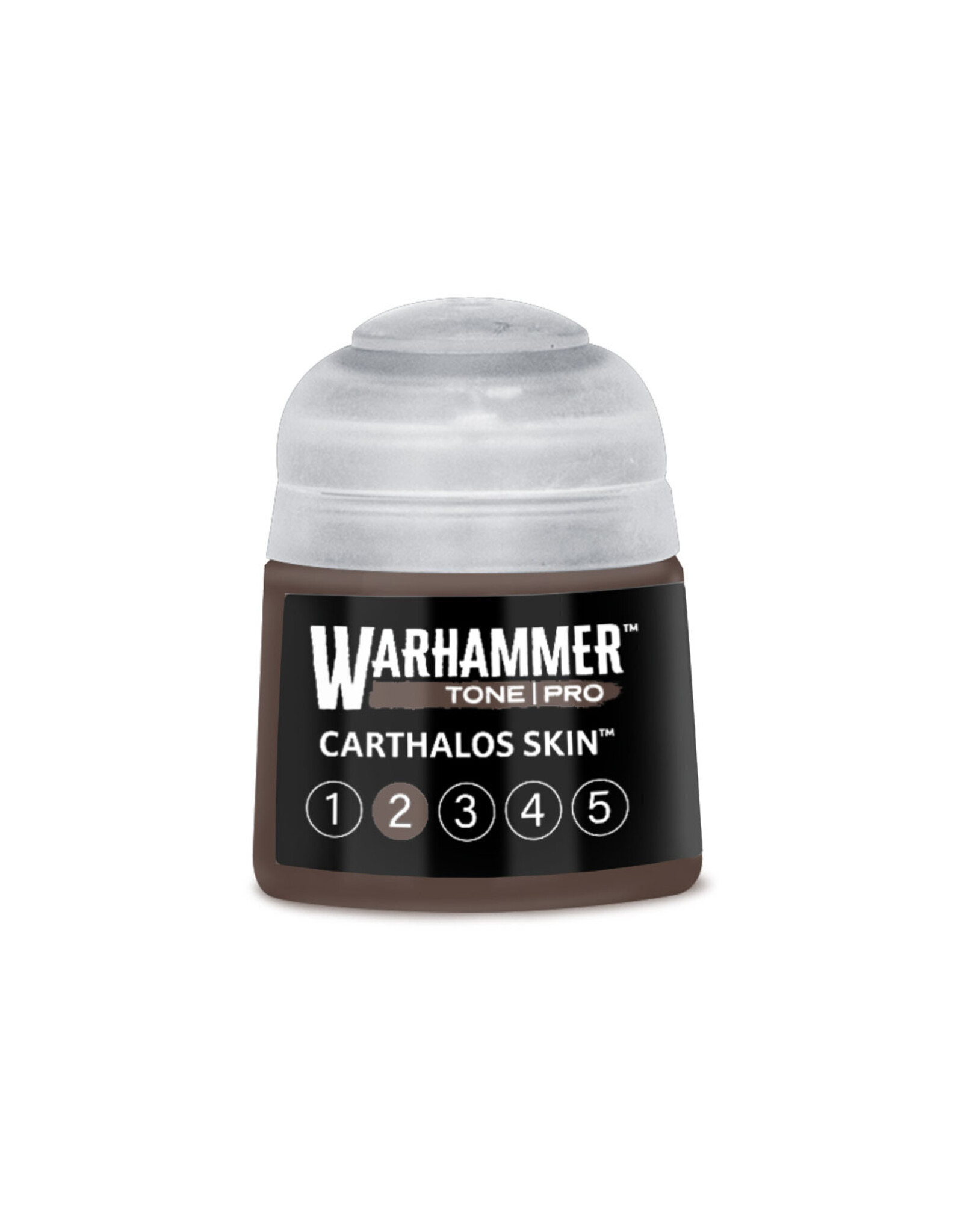 Games Workshop Warhammer Tone Pro Carthalos Skin 2