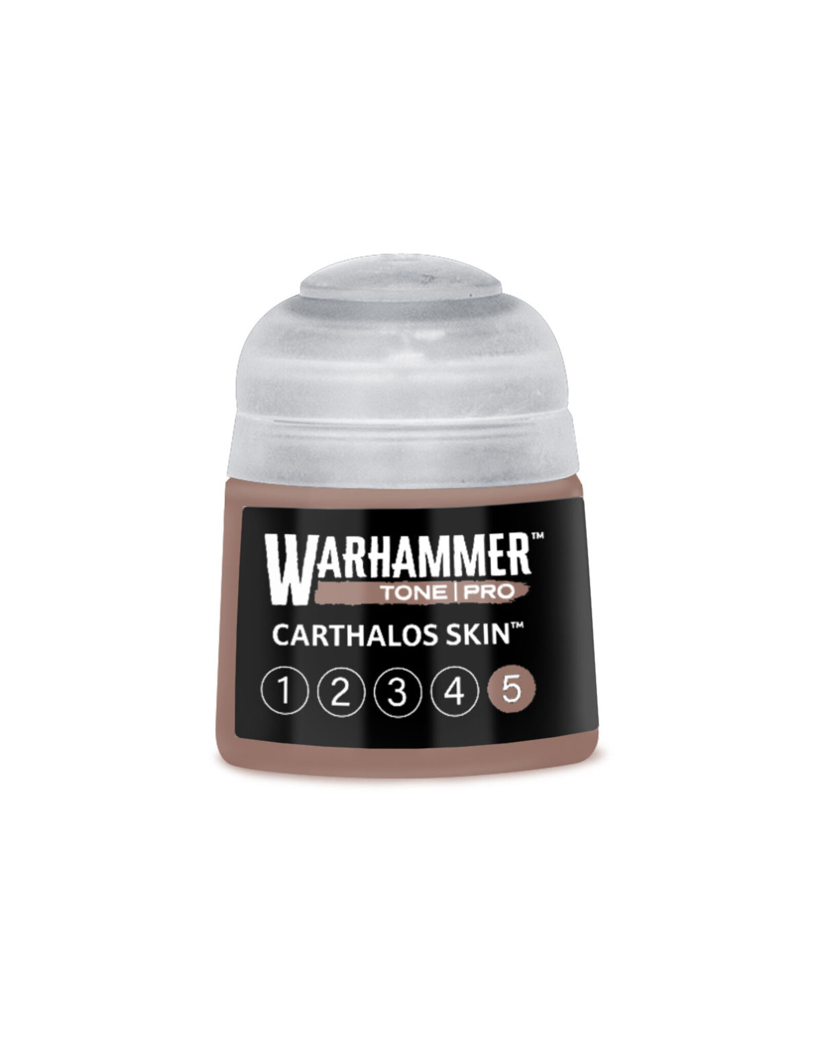 Games Workshop Warhammer Tone Pro Carthalos Skin 5