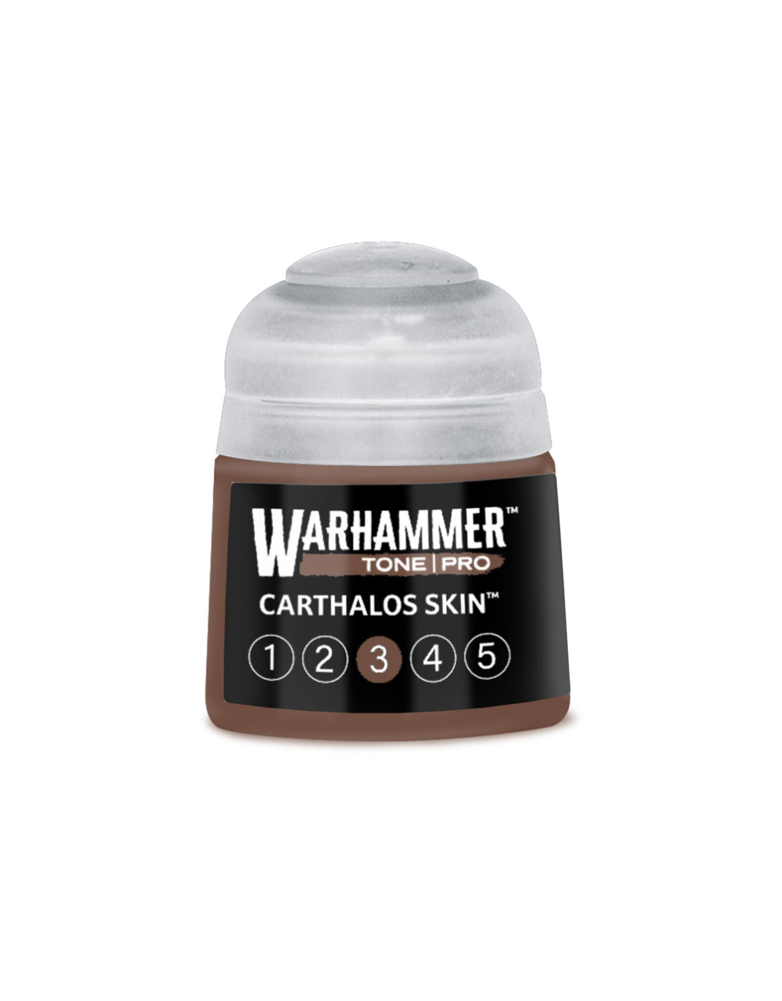 Games Workshop Warhammer Tone Pro Carthalos Skin 3