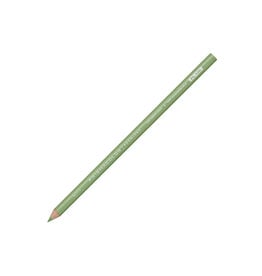 Prismacolor Prismacolor Premier Colored Pencil Sap Green Light