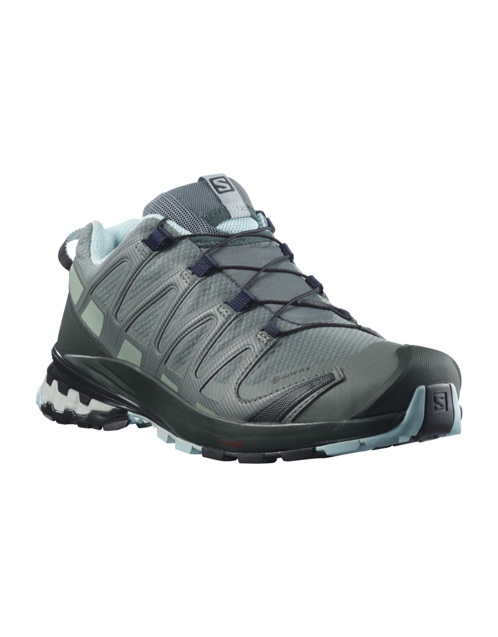 Salomon Salomon Women's XA Pro 3D v8 GTX