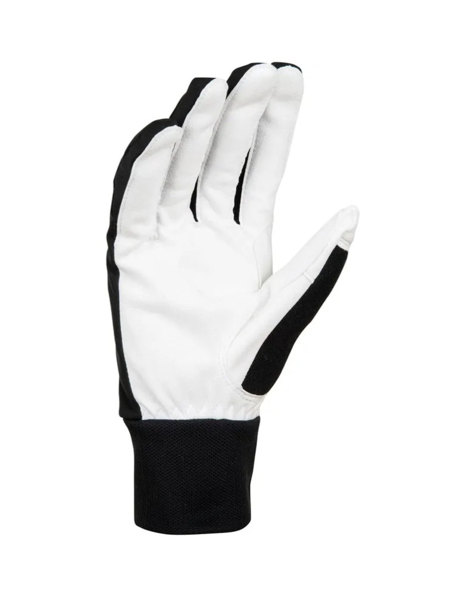 Daehlie Daehlie Men's Glove Race Warm