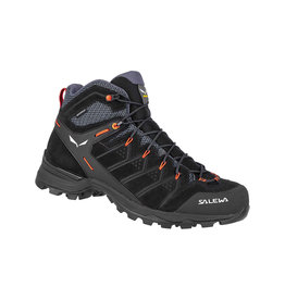 Salewa Salewa Men's Alp Mate Mid PTX