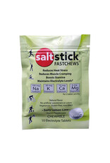 SaltStick SaltStick FastChews 10 Tab