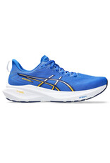 Asics Asics Men's GT-2000 13