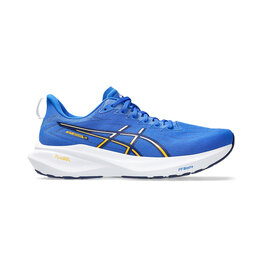 Asics Asics Men's GT-2000 13