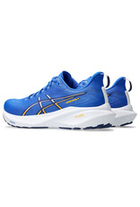Asics Asics Men's GT-2000 13