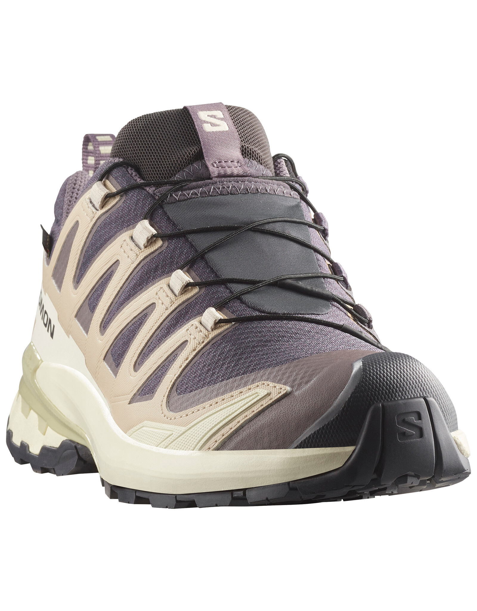 Salomon Salomon Women's XA Pro 3D v9 GTX