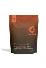 Tailwind Tailwind Recovery Mix 20 Servings
