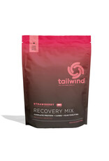 Tailwind Tailwind Recovery Mix 20 Servings