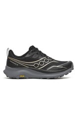 Saucony Saucony Women's Peregrine 16