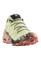 Salomon Salomon Women's Speedcross 6 GTX