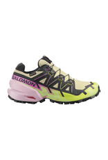 Salomon Salomon Women's Speedcross 6 GTX