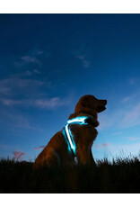 NITEVEST NITEVEST NitePup LED Dog Harness