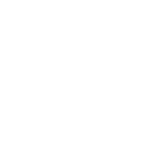 Snowboard