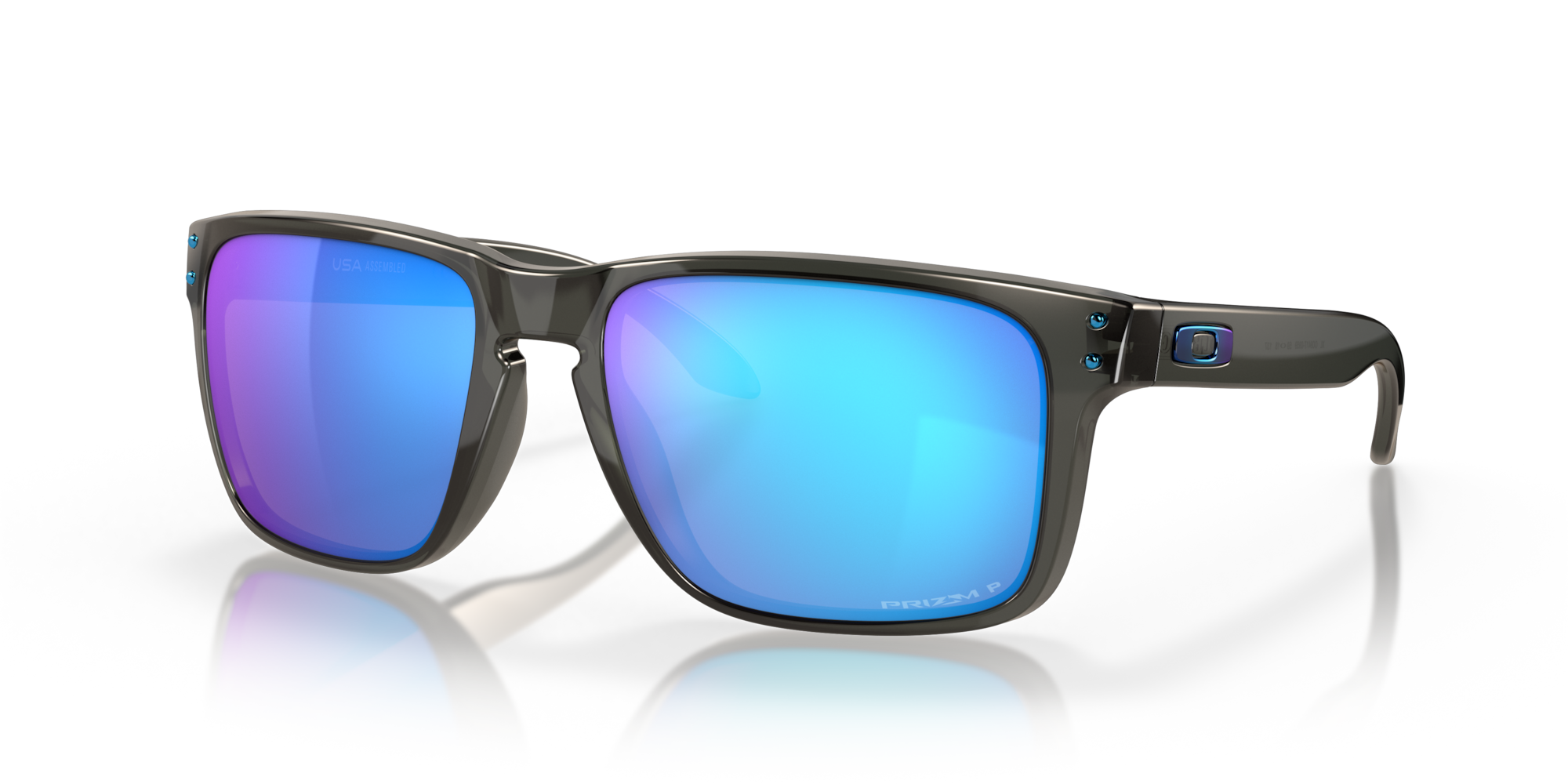 Oakley Holbrook XL Ski West