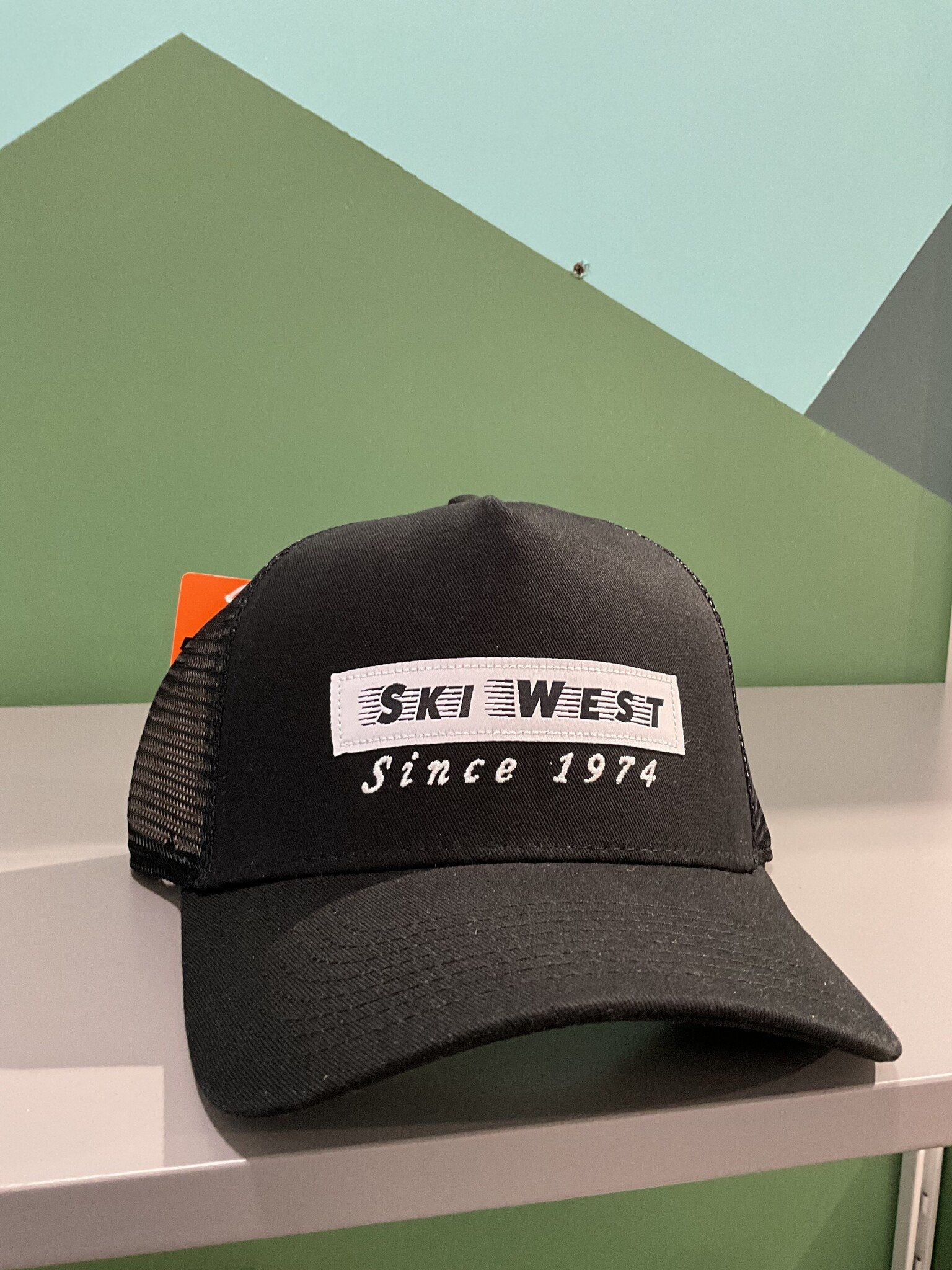 Ski West Ski West Fast Logo Trucker Hat