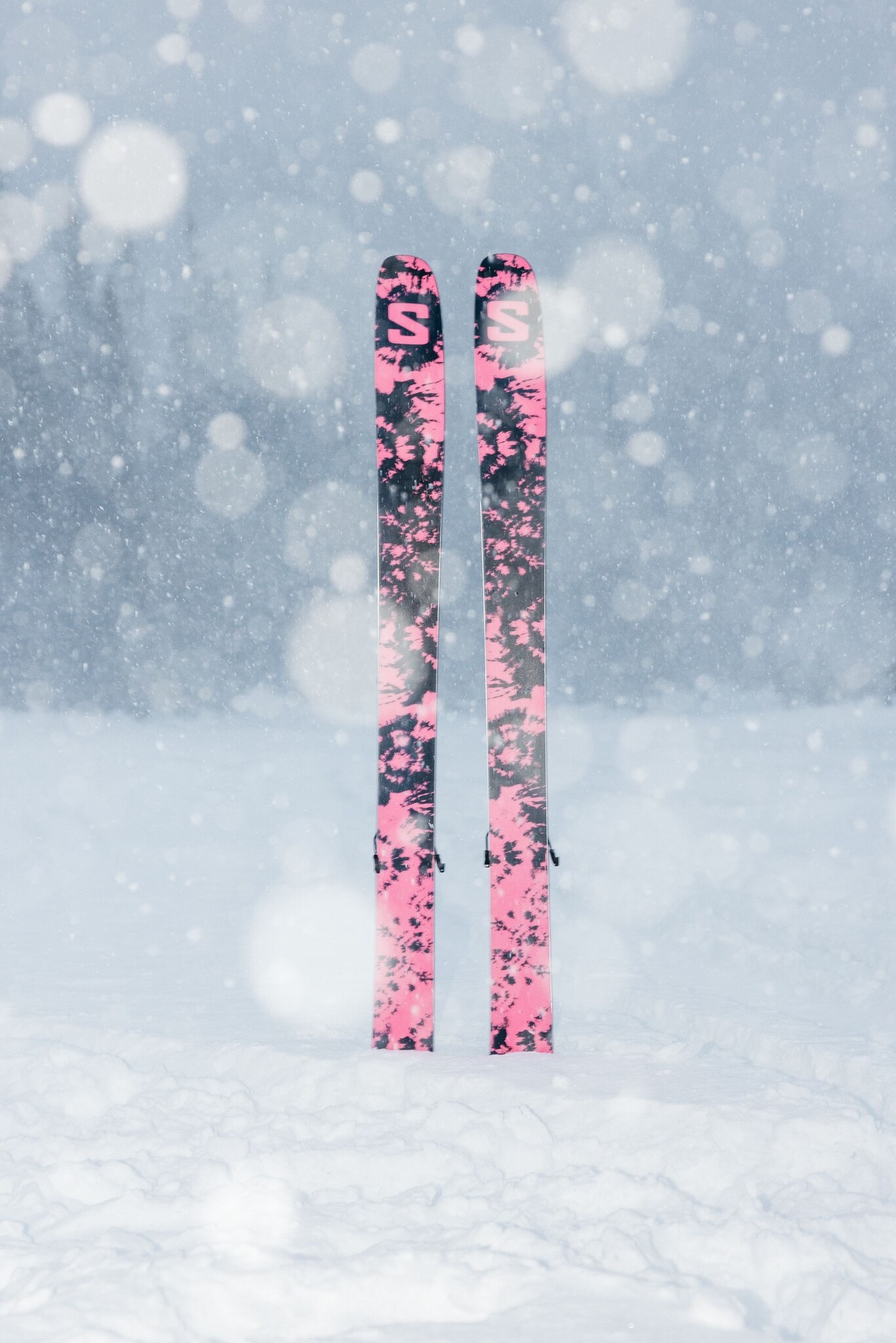 Salomon QST Blank X 2025 Ski West