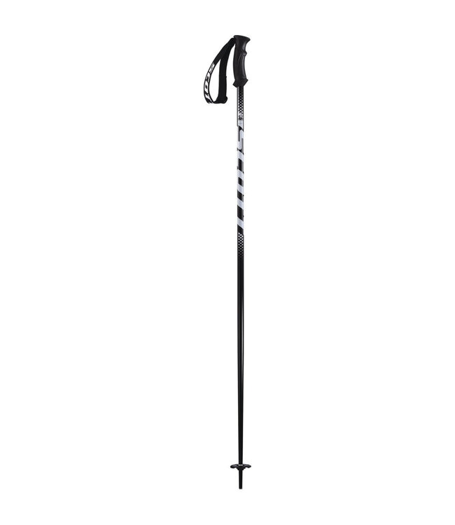 Scott 540 Pole