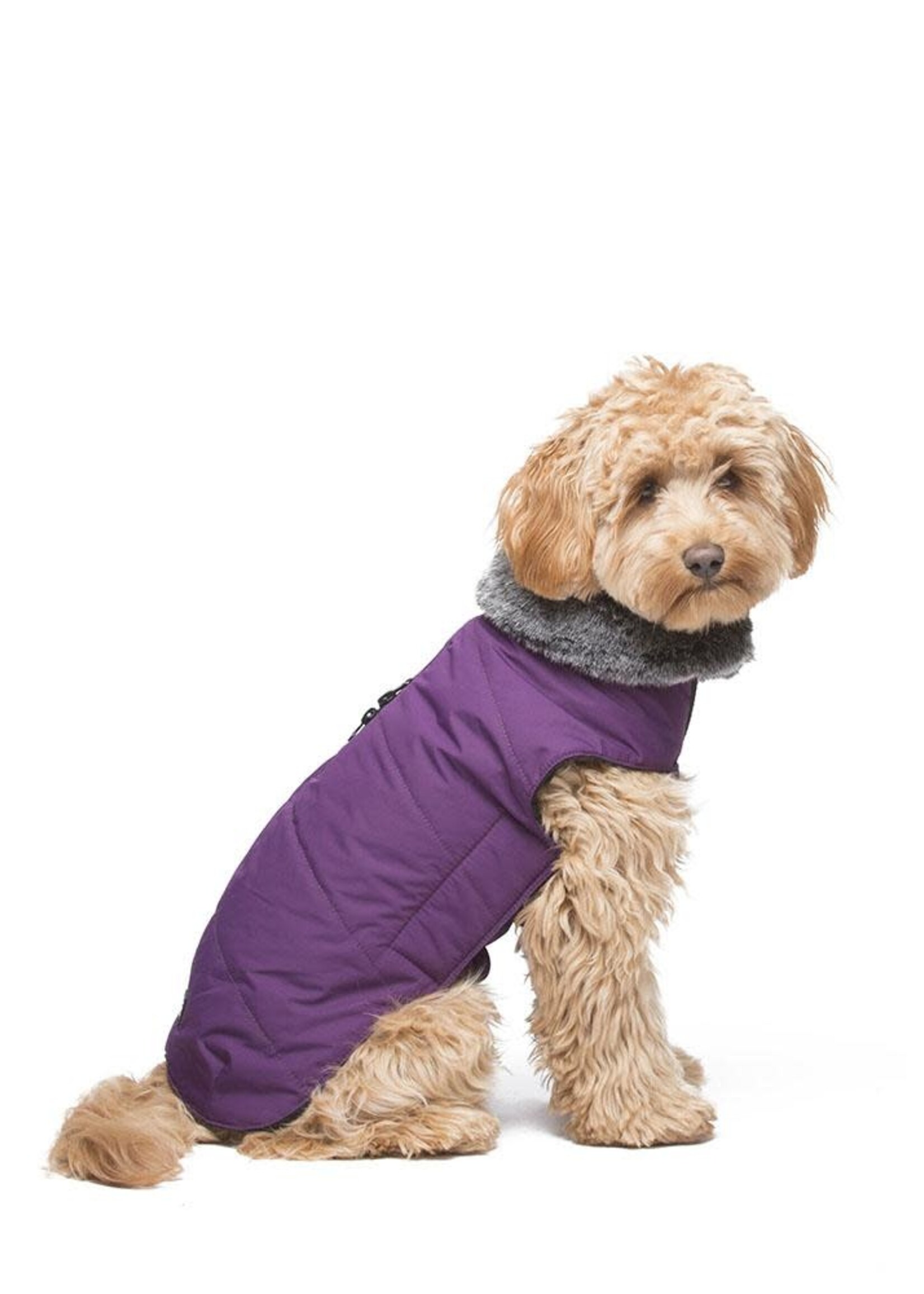 D.GS Pet Products Dog Gone Smart Royal Purple Tamarack Dog Jacket